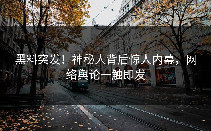 黑料突发！神秘人背后惊人内幕，网络舆论一触即发  第1张