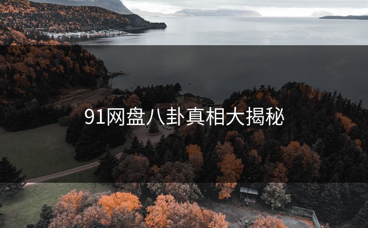 91网盘八卦真相大揭秘  第1张