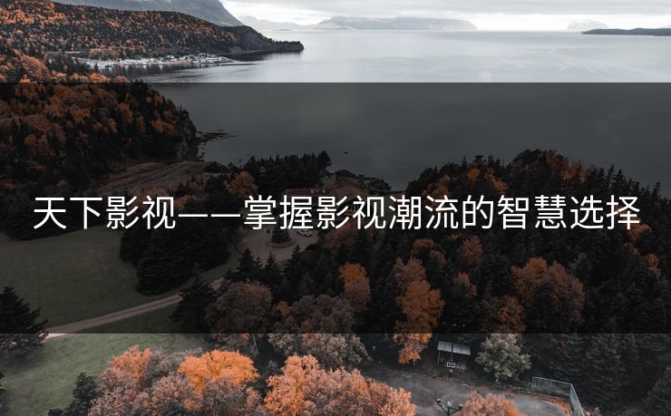 天下影视——掌握影视潮流的智慧选择