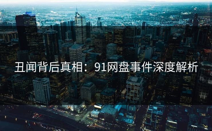 丑闻背后真相：91网盘事件深度解析  第1张