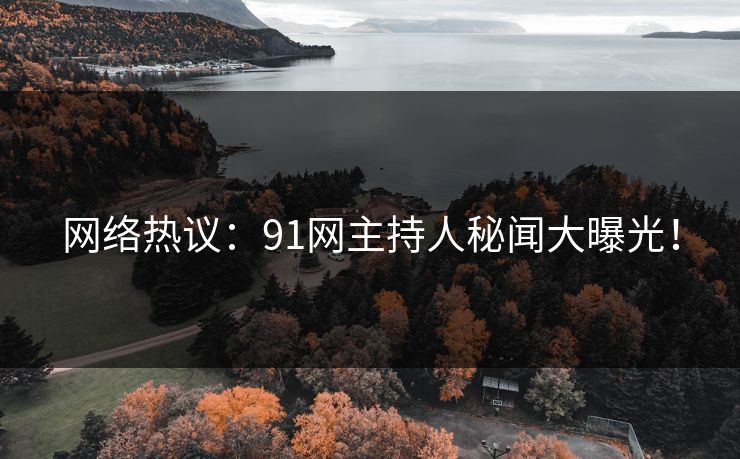 网络热议：91网主持人秘闻大曝光！  第1张