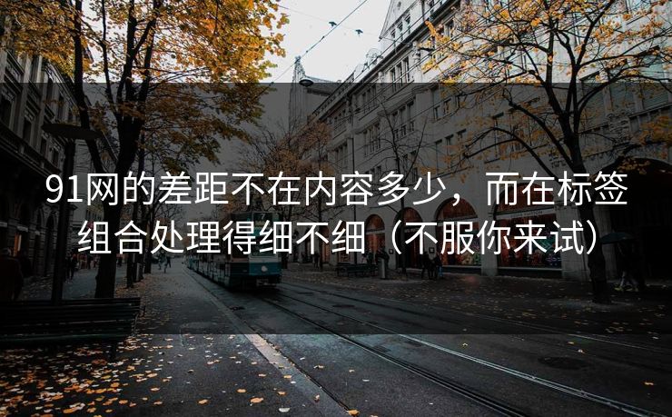 91网的差距不在内容多少，而在标签组合处理得细不细（不服你来试）